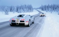 Автомобили следует выбирать с повышенным вниманием